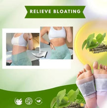 Load image into Gallery viewer, Herbal Giloy Patches (Pack of 2) 20pcs

